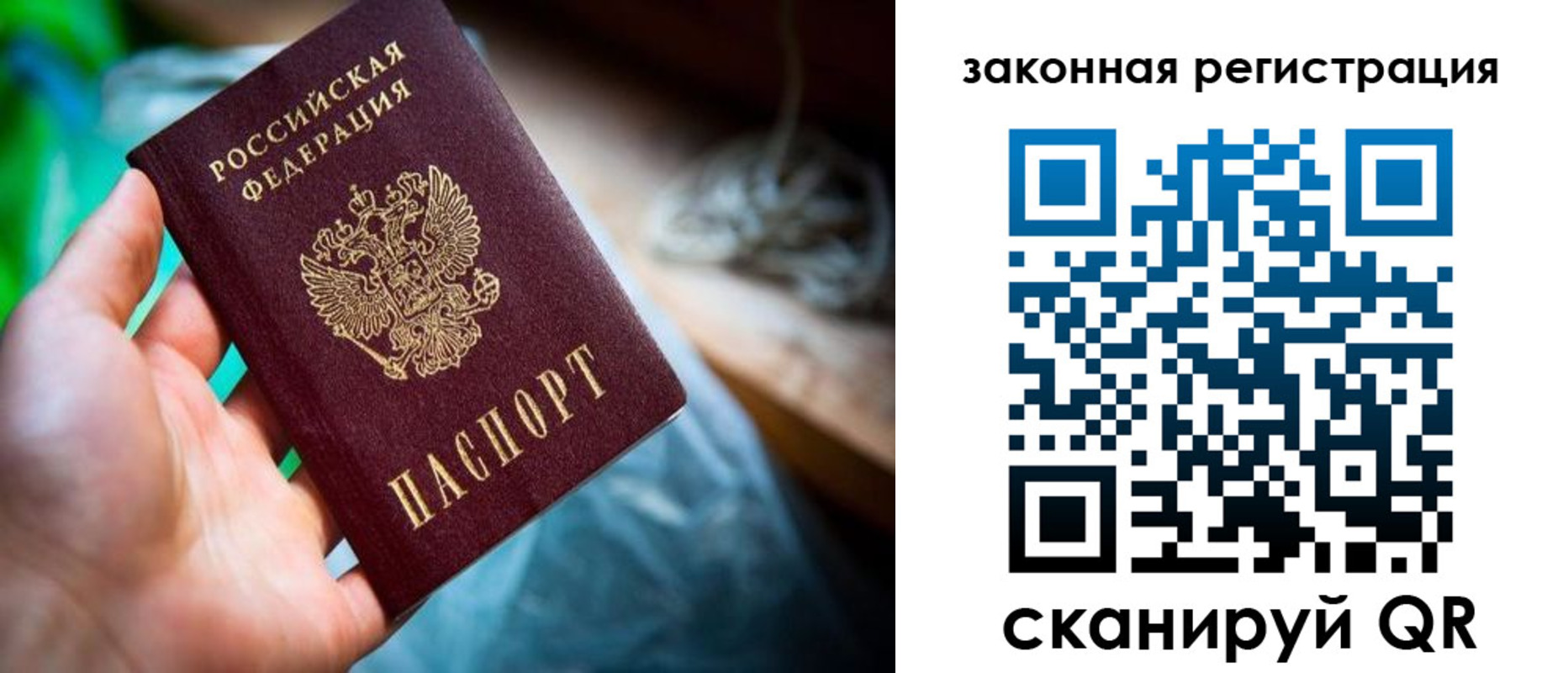 прописка в Владимирской области